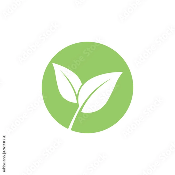 Obraz Green leaf logo vector template element symbol design