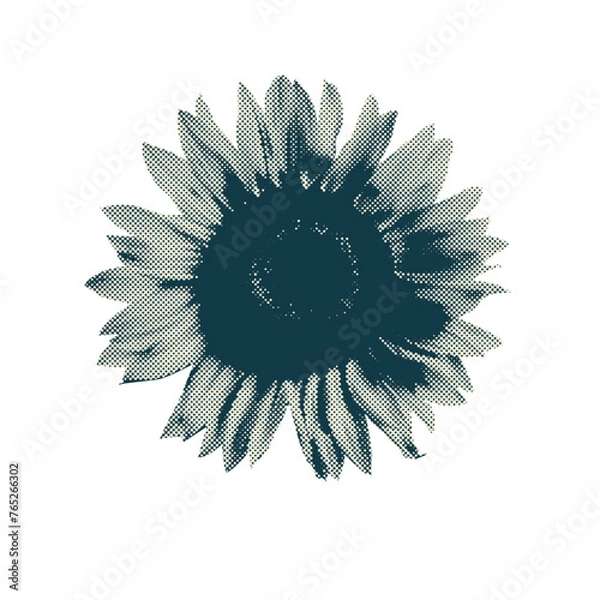 Obraz Sunflower halftone 
