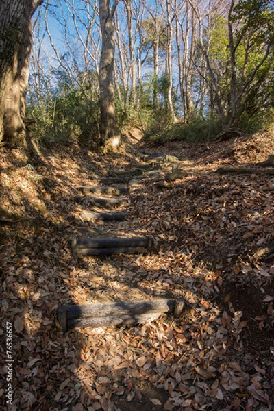 Fototapeta 平山城祉公園