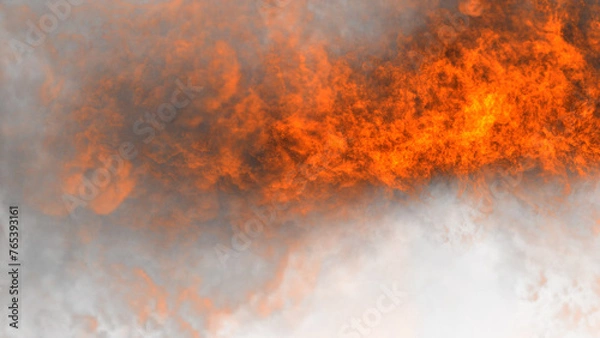 Fototapeta fire in the forest