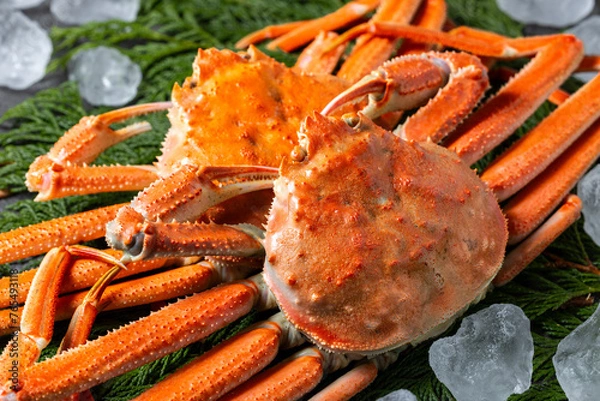 Obraz 新鮮なズワイガニ