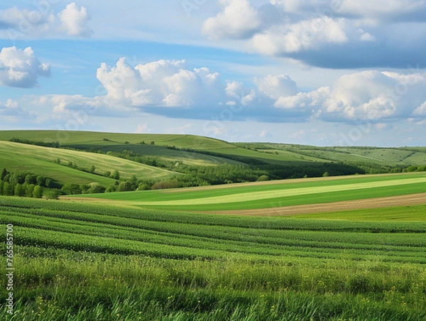 Obraz Verdant Rolling Hills under a Cloudy Sky