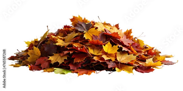 Fototapeta Autumn Leaves Collection on Transparent Background