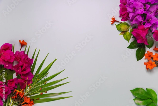 Fototapeta Composition made of meadow flowers and leaves on gray background. Flat lay. View from above