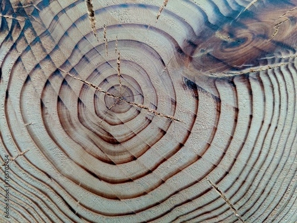 Obraz wooden texture