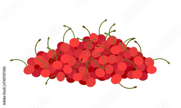 Fototapeta Fresh ripe cherries are lying in a pile. Red juicy cherry isolated on white backdrop.
Fresh delicious healthy and ripe cherries
