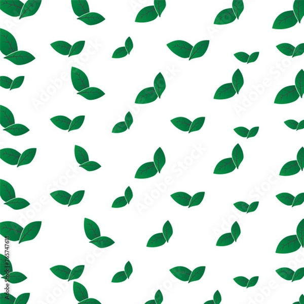 Fototapeta Foliage vector background