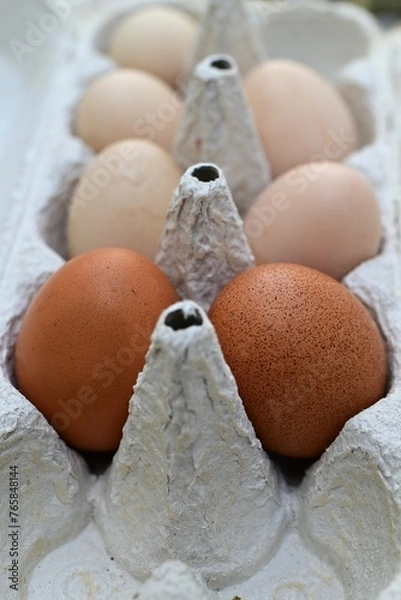 Obraz Brown and white eggs in an egg carton