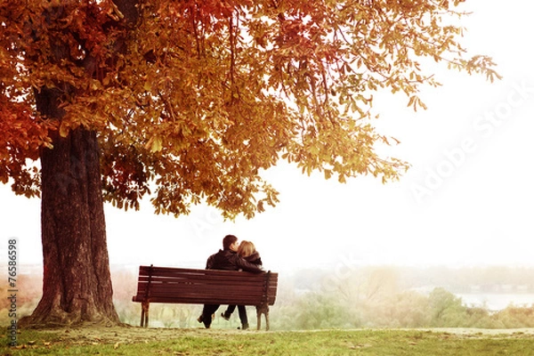 Fototapeta Młoda para całuje się na ławce pod ogromnym kasztanem.
