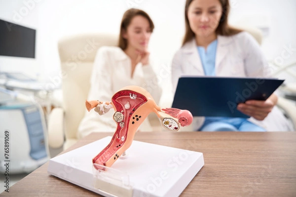 Fototapeta Uterus model with blurred doctor showing to woman patient her examining results