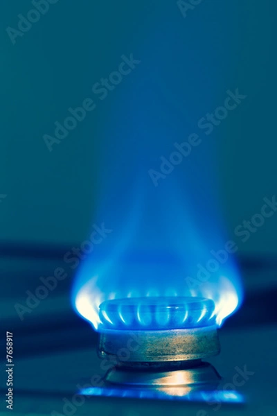 Fototapeta Blue gas flame