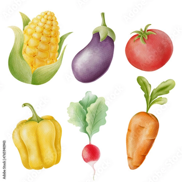 Obraz Watercolor corn, eggplant, tomato, red pepper, radish and carrot. Hand drawing illustration set of vegetables. 