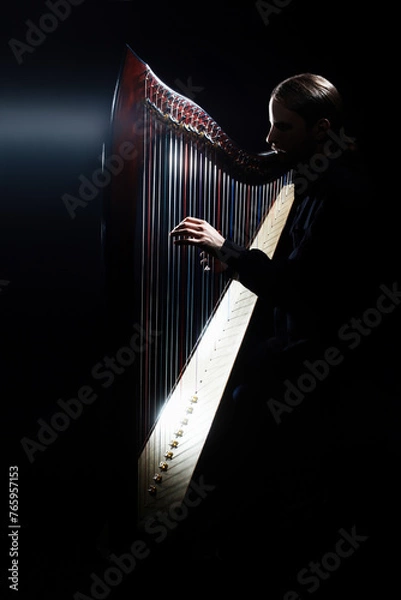 Fototapeta Harp player. Irish harpist playing celtic harp
