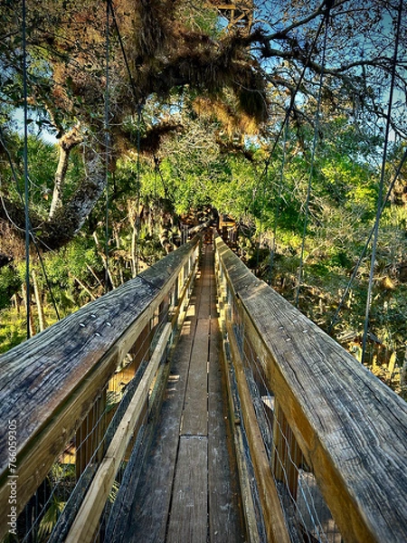 Obraz Canopy Walkway at Myakka River State Park