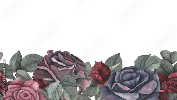 Fototapeta Seamless border gothic rose, leaves magical texture isolated on white background. Watercolor hand drawn botanical sketch illustration. Art for design mystical halloween witch decoration, scary card