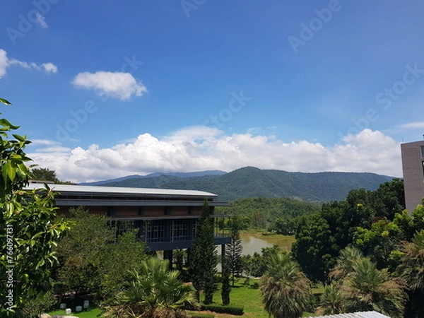 Obraz house on the hill