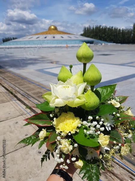 Obraz beautiful flowers