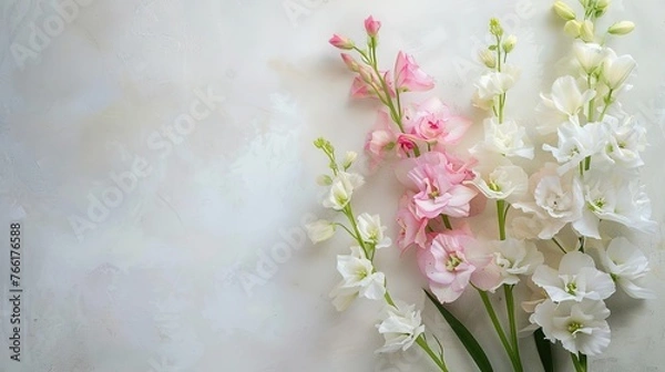 Fototapeta white and pink matthiola flowers on a light background, space for text ,Generative ai,