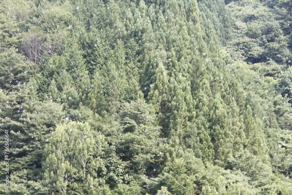 Obraz 山に消えるしゃぼん玉