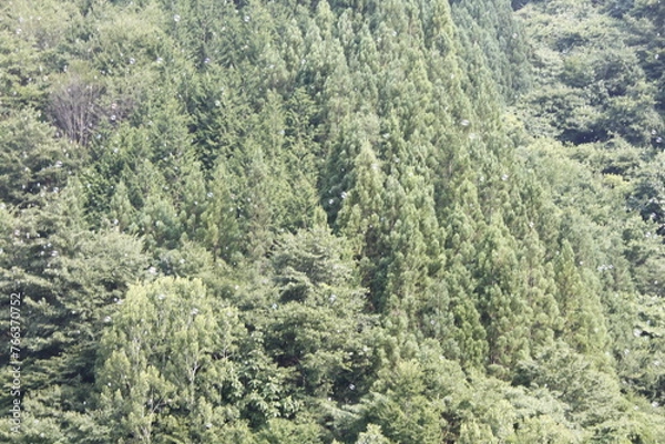 Obraz 山に消えるしゃぼん玉