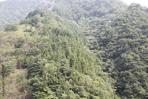 Obraz 山に飛ぶシャボン玉