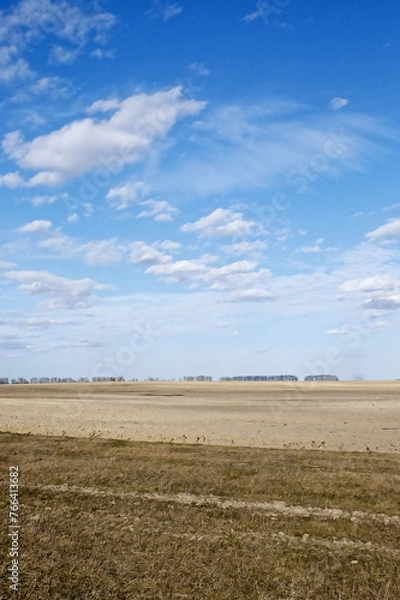 Fototapeta The field is desolate and the sky is a light blue.