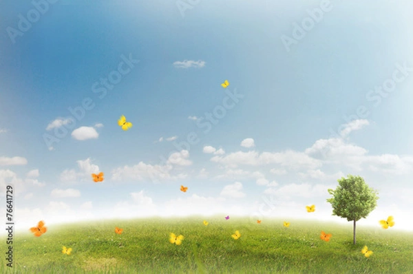 Fototapeta Panorama of green field with a tree on blue sky background