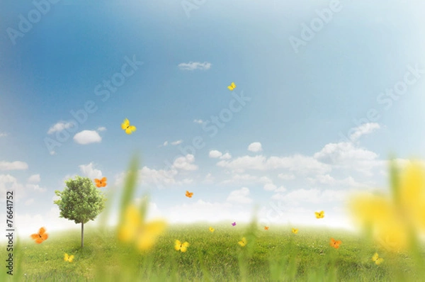 Fototapeta Panorama of green field with a tree on blue sky background