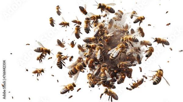 Fototapeta A vibrant array of bees gracefully soar through the air in harmonious motion