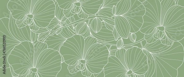 Fototapeta Botaniczny wektor linii sztuki tła. Naturalna botaniczna elegancka orchidea z białą grafiką na zielonym tle. Ilustracja projektowa do dekoracji, dekoracji ściennych, tapety, okładki, banera, karty.