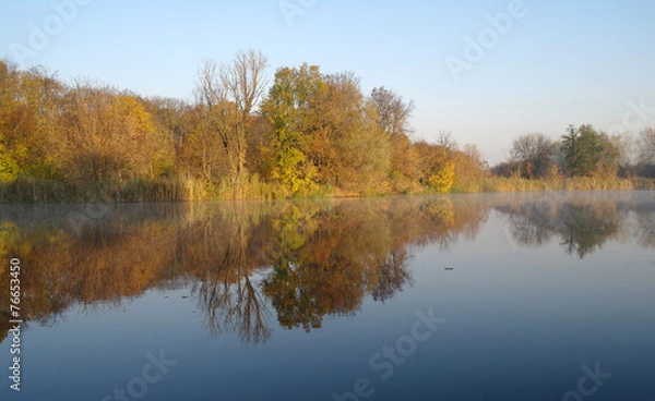 Fototapeta River landscape and  autumn wood