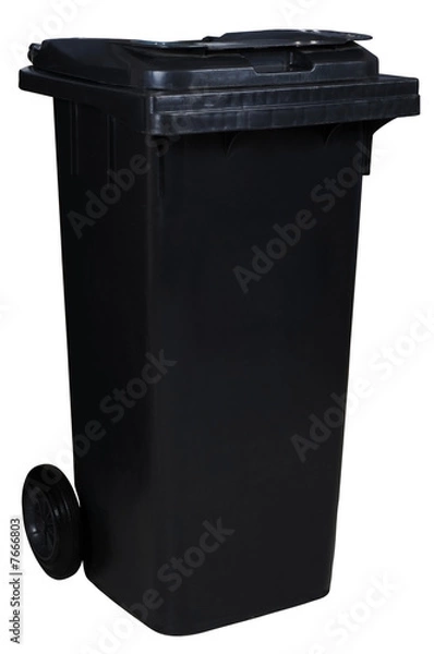 Obraz Dustbin