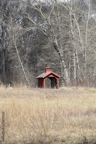Obraz Covered bridge in the park