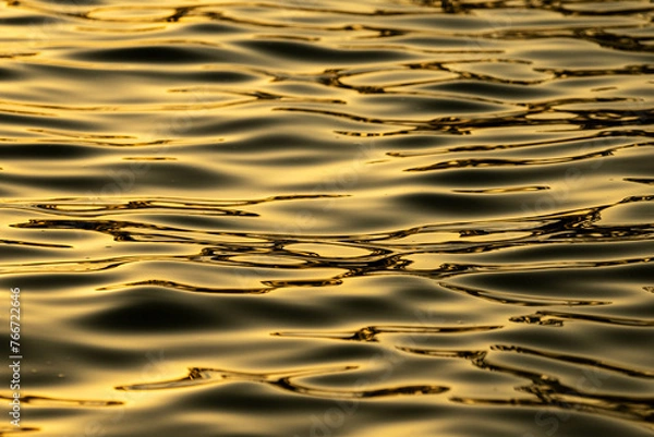 Obraz 水面の揺らぎ