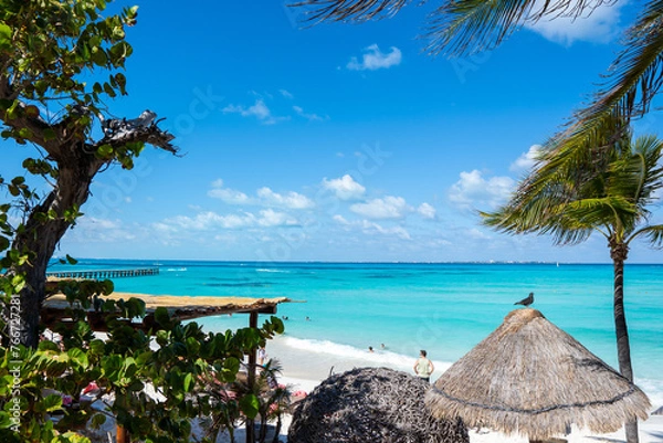 Fototapeta beach with palm trees