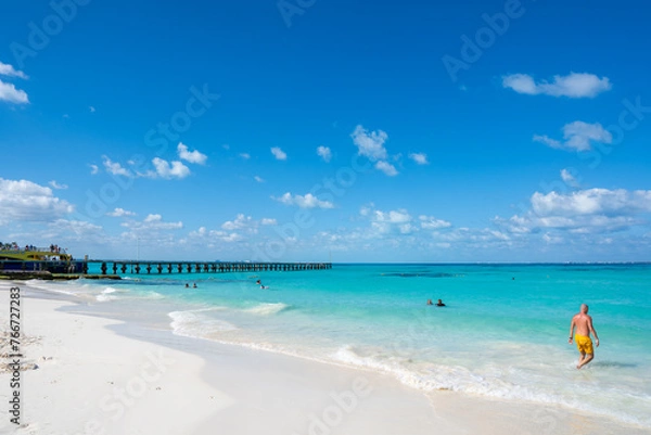 Fototapeta beach with trees
