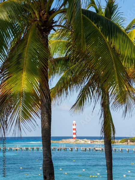 Fototapeta beach with palm trees and sky