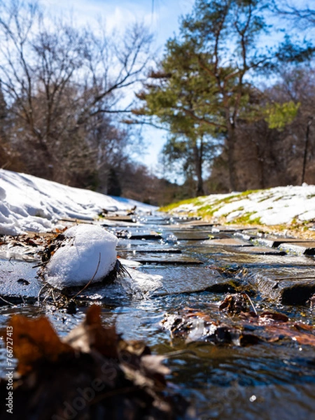 Fototapeta park with melting snow 