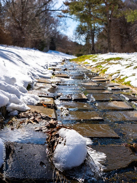 Fototapeta park with melting snow 