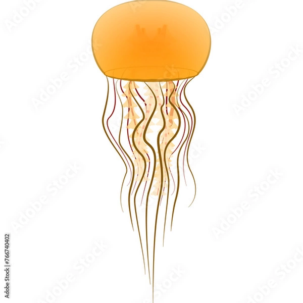 Obraz Chrysaora Fuscescens