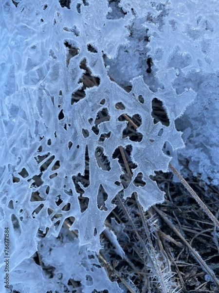 Obraz Lace Ice Pattern