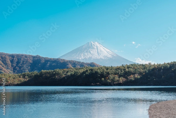Fototapeta Mount Fuji at lake Saiko near Kawaguchiko, one of the Fuji Five Lakes located in Yamanashi, Japan. Landmark for tourists attraction. Japan Travel, Destination, Vacation and Mount Fuji Day concept