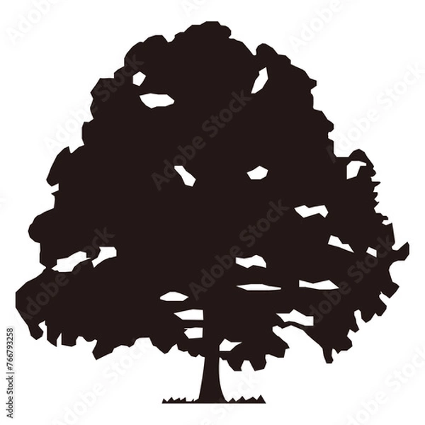 Fototapeta かしの木