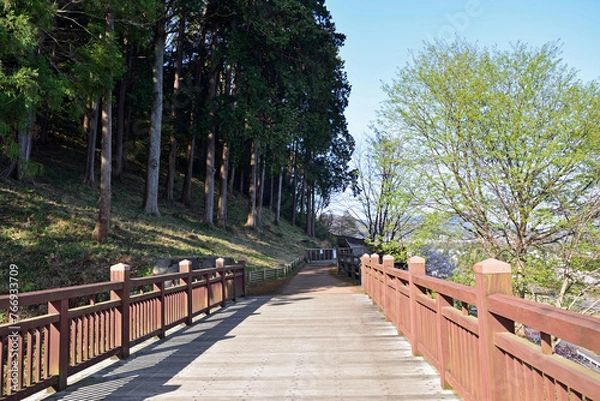 Obraz 【神奈川県】春の津久井湖城山公園  森の中の遊歩道