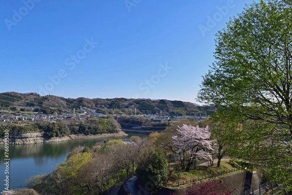 Obraz 【神奈川県】春の津久井湖城山公園 湖畔
