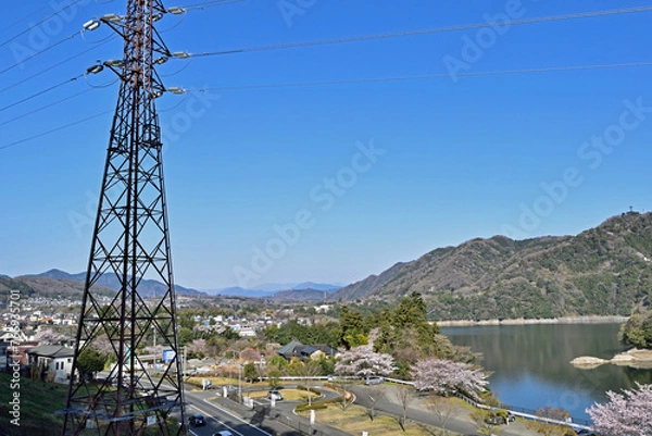 Fototapeta 【神奈川県】春の津久井湖城山公園 湖畔