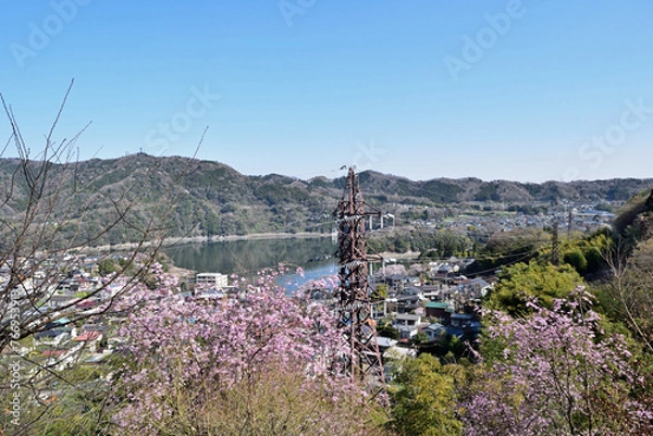 Obraz 【神奈川県】春の津久井湖城山公園 湖畔