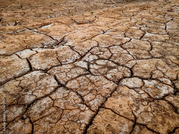 Obraz dry soil salt stains