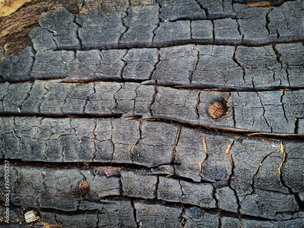 Obraz old wood texture