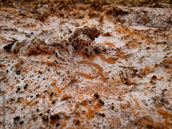 Obraz dry soil salt stains